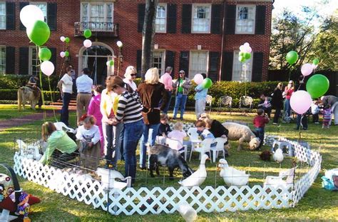 Petting zoo birthday party - 